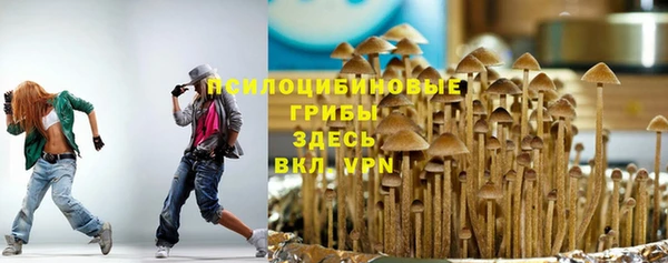 ГАЛЛЮЦИНОГЕННЫЕ ГРИБЫ Балабаново