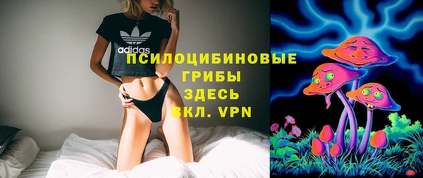 ГАЛЛЮЦИНОГЕННЫЕ ГРИБЫ Балабаново
